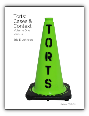 book cover showing with clean safety cone stenciled with TORTS