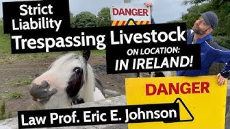 Man posing with danger signs and horse giving funny look with text: Strict Liability Trespassing Livestock on location: in Ireland! Law Prof. Eric E. Johnson
